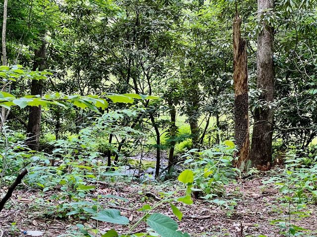 Lot 3 Lower Fox Trail, Blairsville, GA 30512