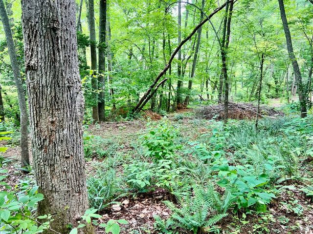 Lot 3 Lower Fox Trail, Blairsville, GA 30512