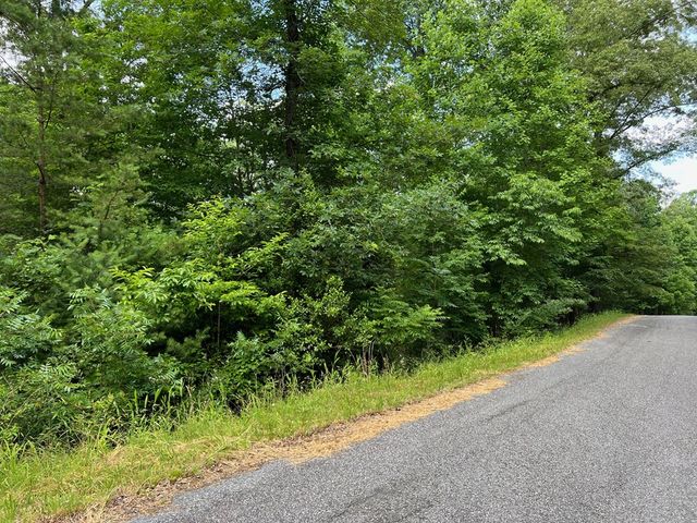 Lot 3 Lower Fox Trail, Blairsville, GA 30512