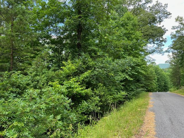 Lot 3 Lower Fox Trail, Blairsville, GA 30512