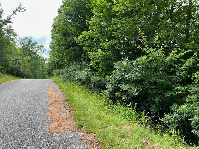 Lot 3 Lower Fox Trail, Blairsville, GA 30512