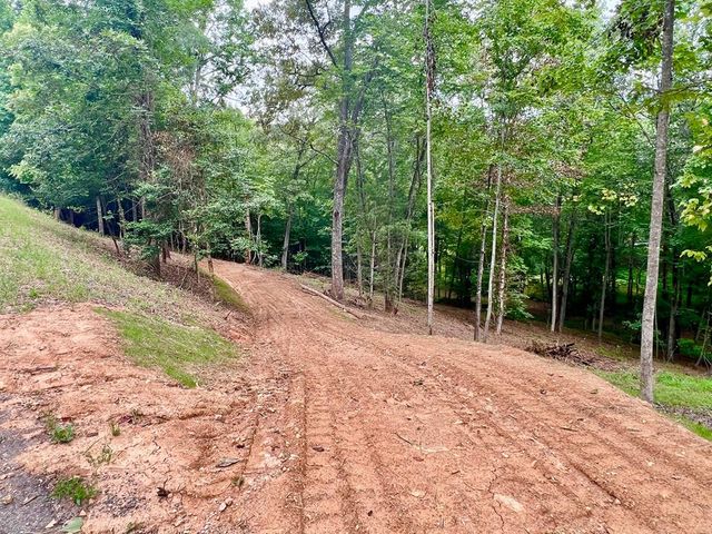 Lot 3 Lower Fox Trail, Blairsville, GA 30512