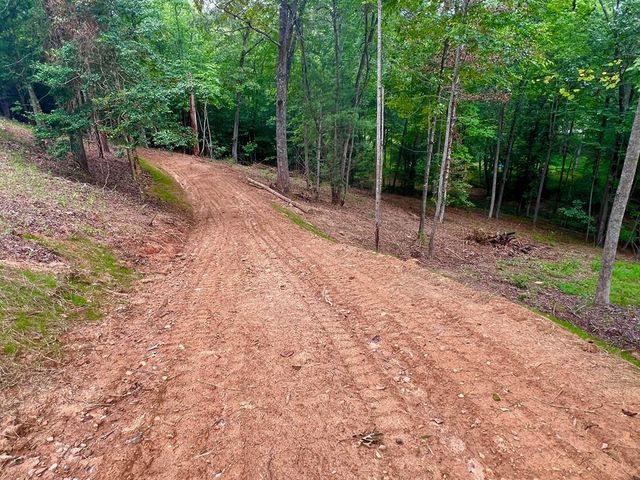 Lot 3 Lower Fox Trail, Blairsville, GA 30512