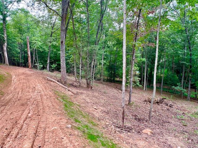 Lot 3 Lower Fox Trail, Blairsville, GA 30512