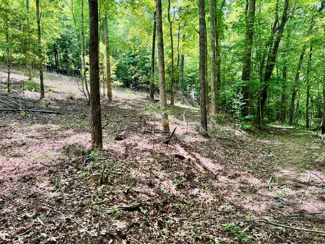 Lot 3 Lower Fox Trail, Blairsville, GA 30512