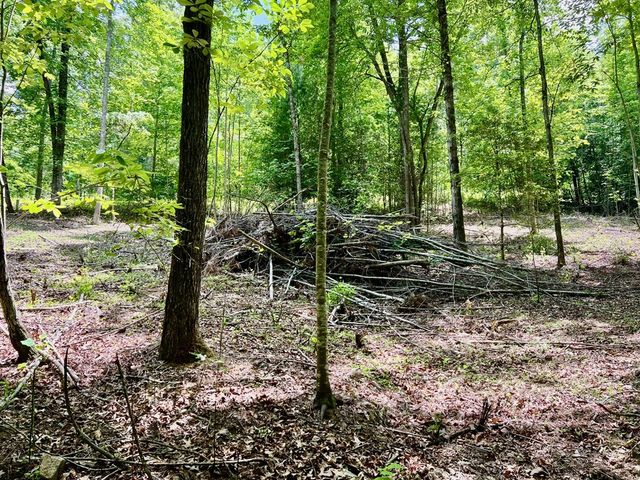 Lot 3 Lower Fox Trail, Blairsville, GA 30512