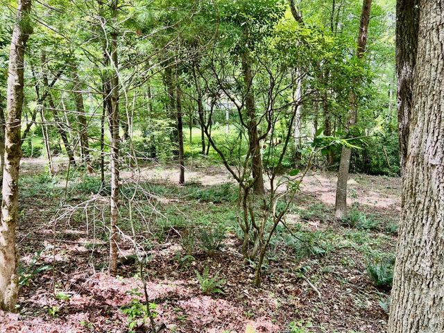 Lot 3 Lower Fox Trail, Blairsville, GA 30512
