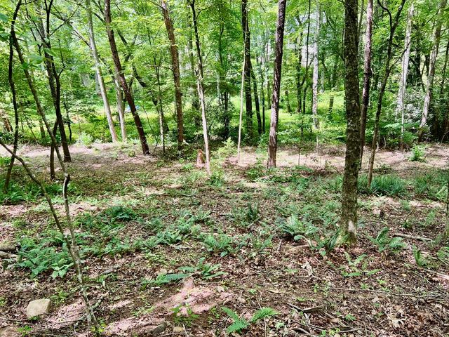 Lot 3 Lower Fox Trail, Blairsville, GA 30512