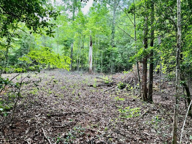 Lot 3 Lower Fox Trail, Blairsville, GA 30512