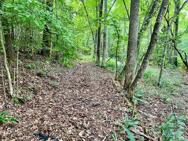 Lot 3 Lower Fox Trail, Blairsville, GA 30512