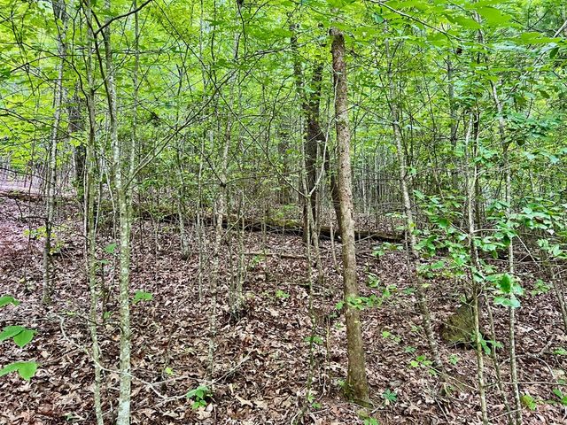 Lot 3 Lower Fox Trail, Blairsville, GA 30512