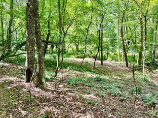 Lot 3 Lower Fox Trail, Blairsville, GA 30512