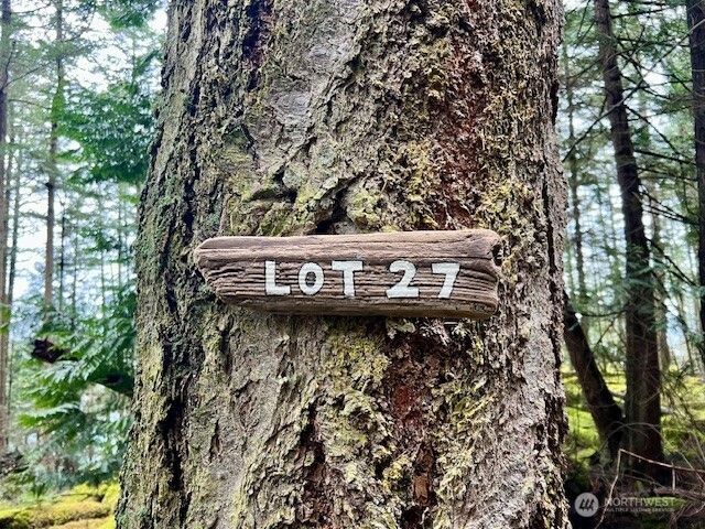 0 Lot 27 Peavine Way, Obstruction Island, WA 98279