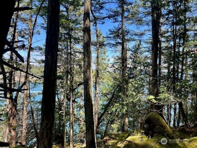 0 Lot 27 Peavine Way, Obstruction Island, WA 98279