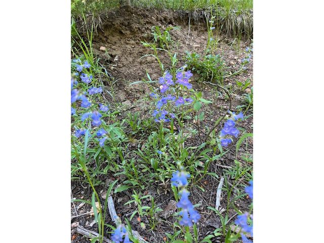 13963 N Trail Cir, Littleton, CO 80127