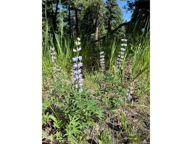 13963 N Trail Cir, Littleton, CO 80127