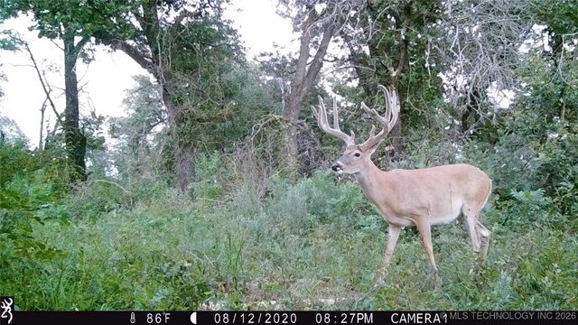 19001 W 41st Street, Sand Springs, OK 74063