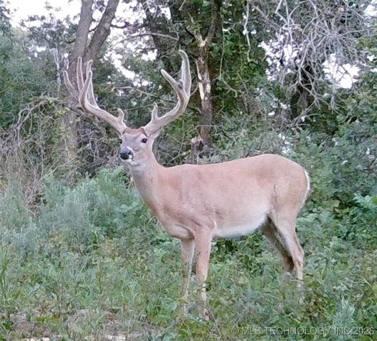 19001 W 41st Street, Sand Springs, OK 74063
