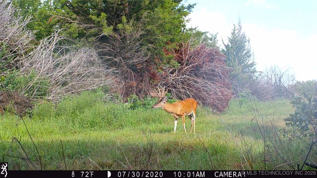 19001 W 41st Street, Sand Springs, OK 74063