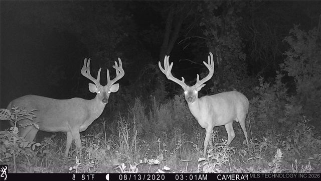 19001 W 41st Street, Sand Springs, OK 74063