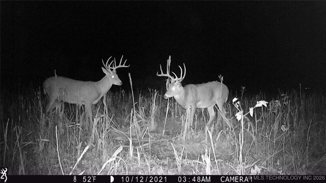 19001 W 41st Street, Sand Springs, OK 74063