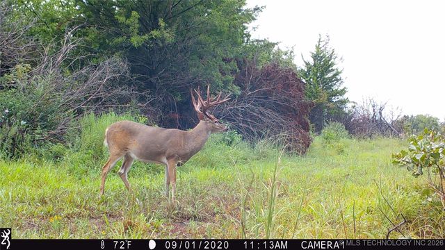 19001 W 41st Street, Sand Springs, OK 74063