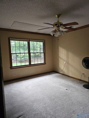 189 Perriwinkle Street, Madison, AL 35757