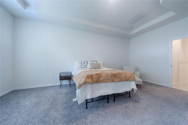 605 BIG PINE AVENUE, Minneola, FL 34715