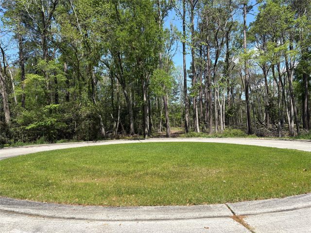 14 Pallavi Woods Drive, Houston, TX 77339