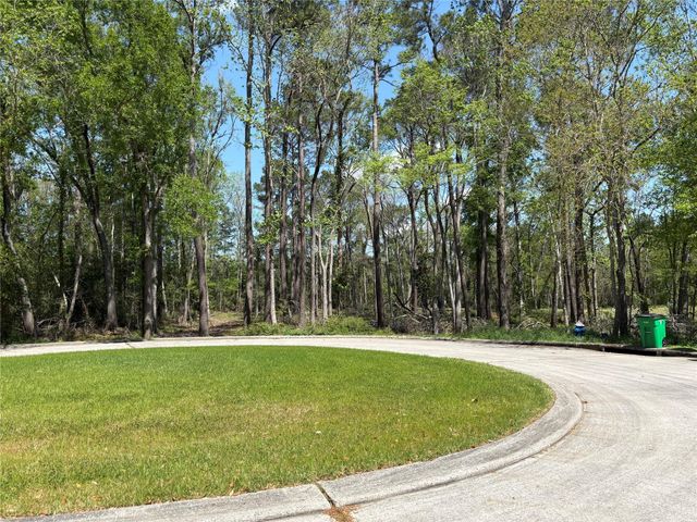 14 Pallavi Woods Drive, Houston, TX 77339