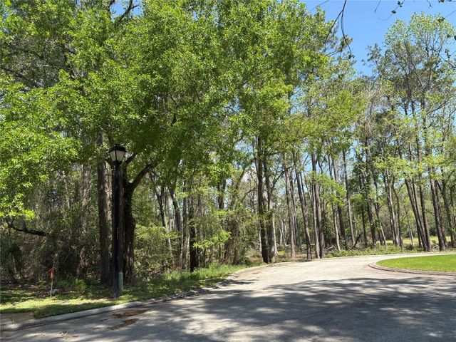 14 Pallavi Woods Drive, Houston, TX 77339
