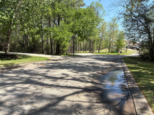 14 Pallavi Woods Drive, Houston, TX 77339