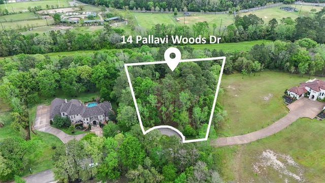 14 Pallavi Woods Drive, Houston, TX 77339