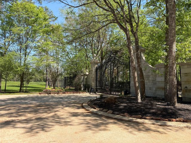 14 Pallavi Woods Drive, Houston, TX 77339