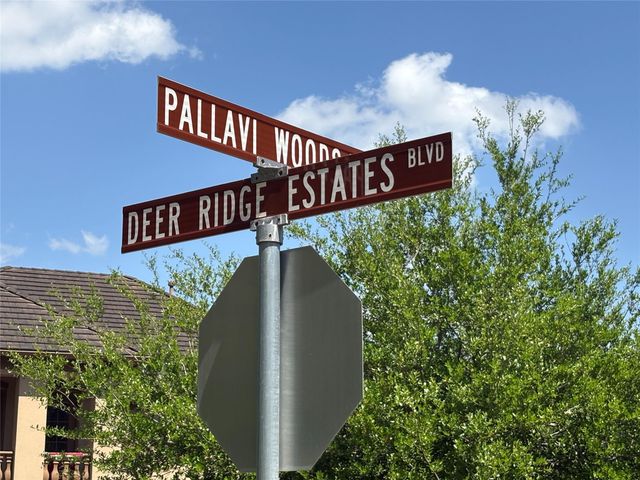 14 Pallavi Woods Drive, Houston, TX 77339