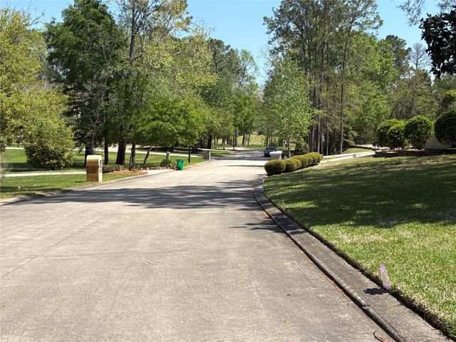14 Pallavi Woods Drive, Houston, TX 77339