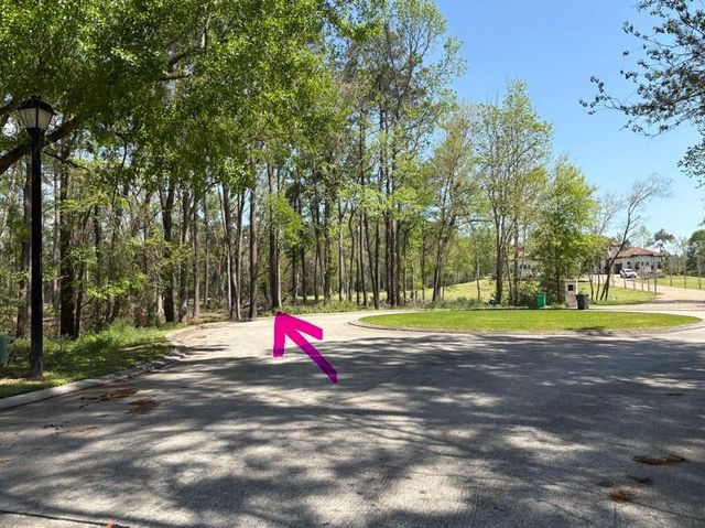 14 Pallavi Woods Drive, Houston, TX 77339