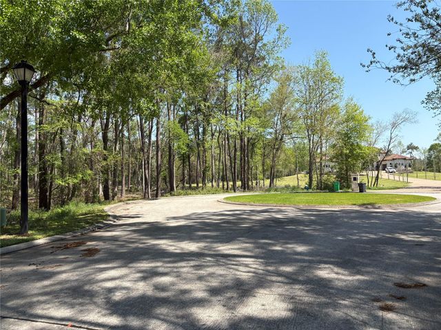 14 Pallavi Woods Drive, Houston, TX 77339