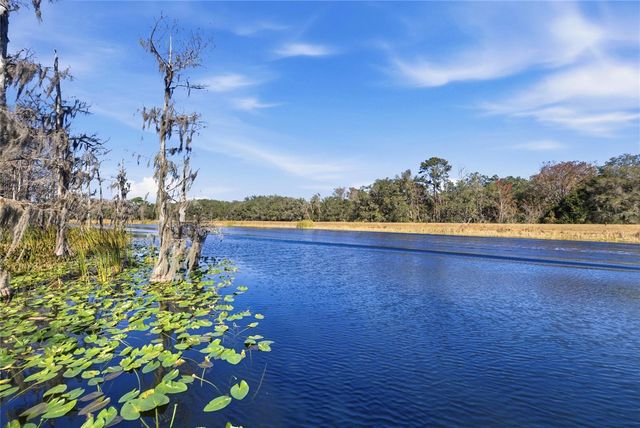 351 SEQUOIA DR, Ocklawaha, FL 32179