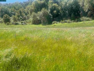 1180 Bear Creek Rd, Martinez, CA 94553