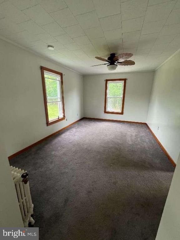 Image 18 of property listing at 136 WAVERLY ST, Westernport, MD 21562