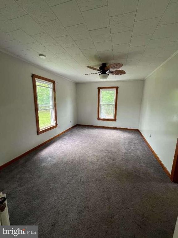 Image 19 of property listing at 136 WAVERLY ST, Westernport, MD 21562