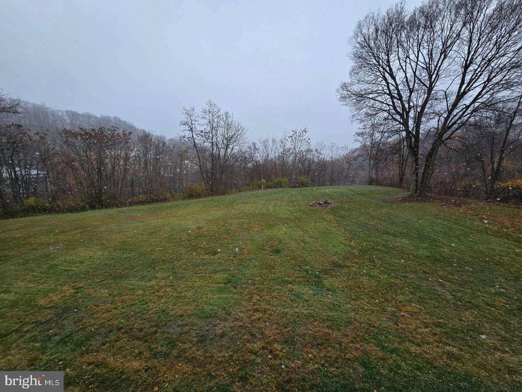 Image 25 of property listing at 136 WAVERLY ST, Westernport, MD 21562