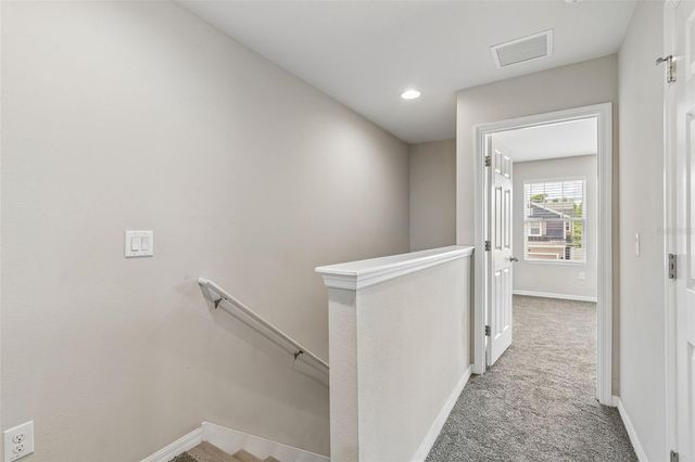 18843 ULMUS STREET, Lutz, FL 33558