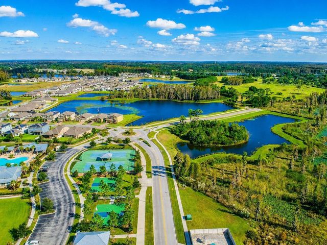 18843 ULMUS STREET, Lutz, FL 33558