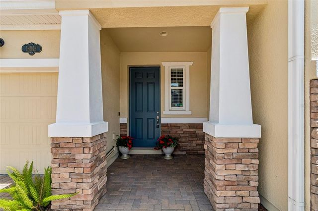 18843 ULMUS STREET, Lutz, FL 33558