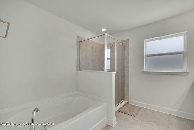 10358 Musa Road, Spring Hill, FL 34608
