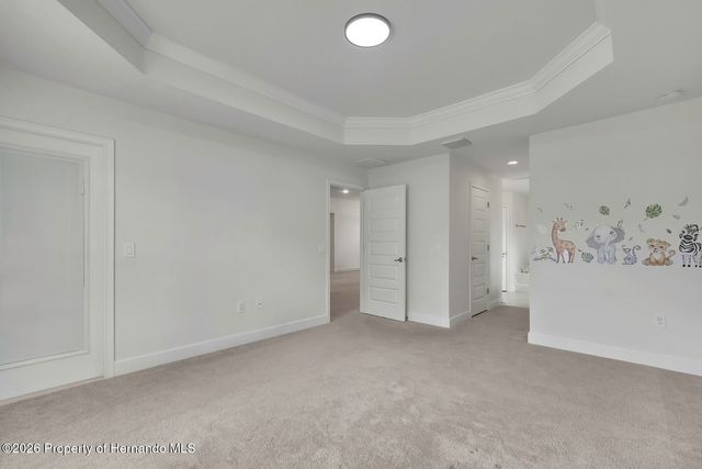10358 Musa Road, Spring Hill, FL 34608