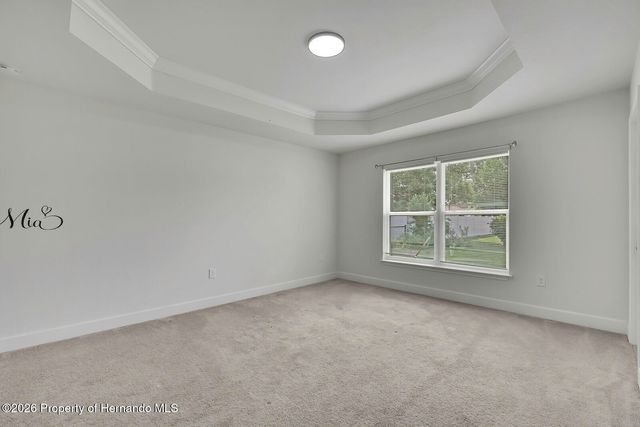 10358 Musa Road, Spring Hill, FL 34608