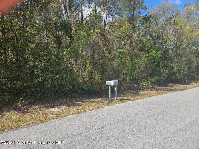 8161 Cresap Street, Brooksville, FL 34613